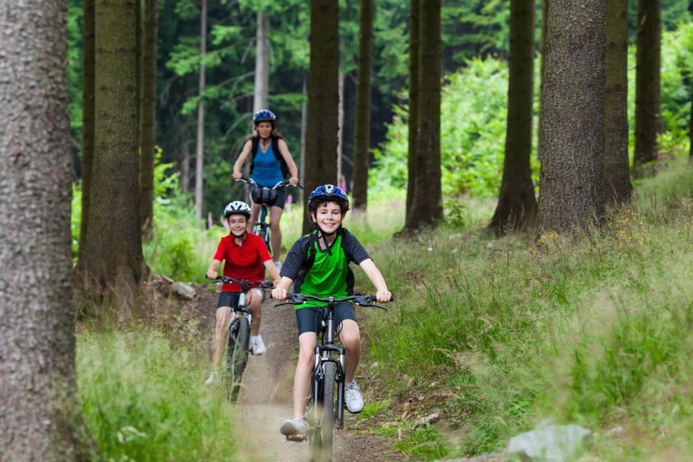 Mountain Apartments Klinovec Hexagon Loučná pod Klínovcem Eksteriør bilde